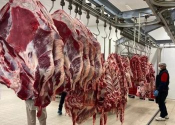 81 vilayette besin kontrolleri Türkiye’nin 81 vilayetinde besin kontrolleri eş vakitli başladı